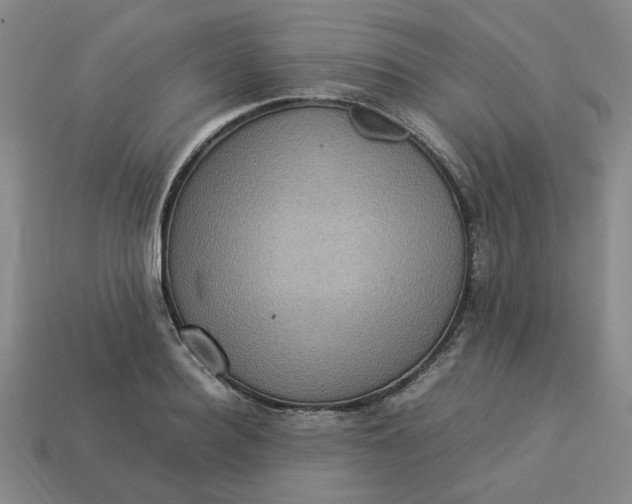 X0000113310940200910051100