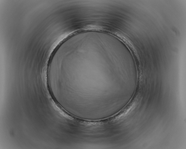 X0000113310941200910051100