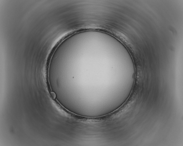 X0000113310942200910051101