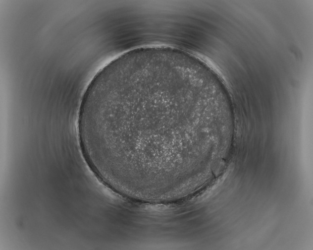 X0000113310943200910051101