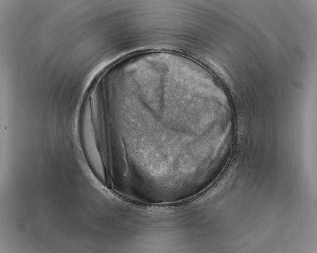 X0000113310944200910051101