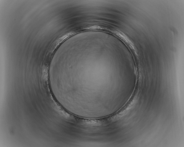 X0000113310945200910051101