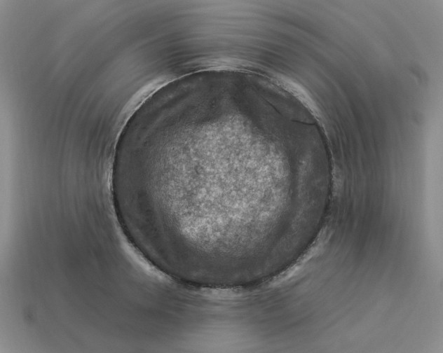 X0000113310946200910051101