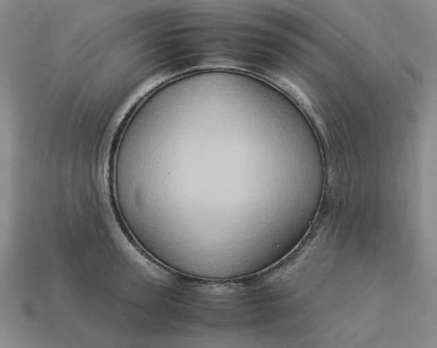 X0000113310947200910051101