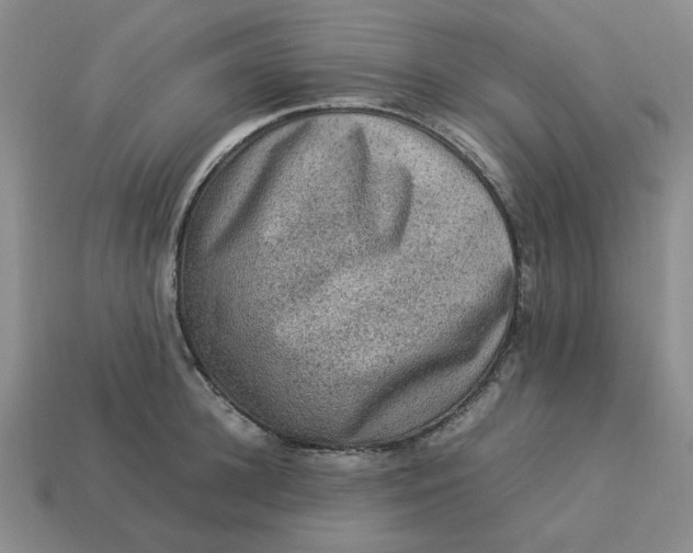 X0000113310948200910051101