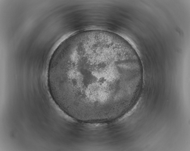 X0000113310949200910051101