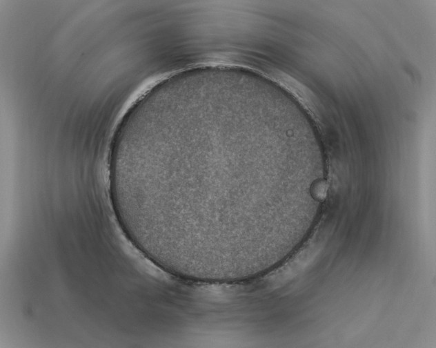 X0000113310950200910051101