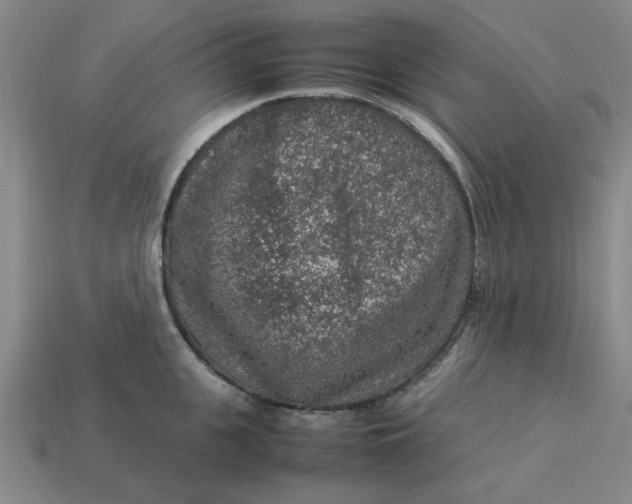 X0000113310951200910051101