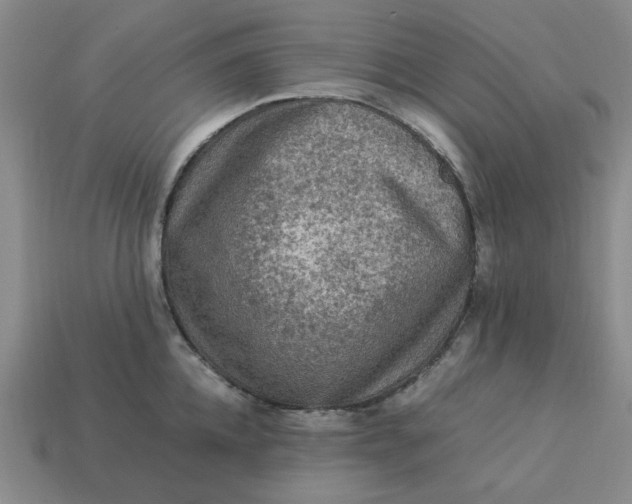 X0000113310952200910051101