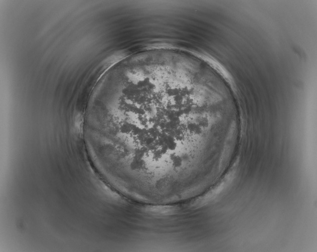 X0000113310953200910051101