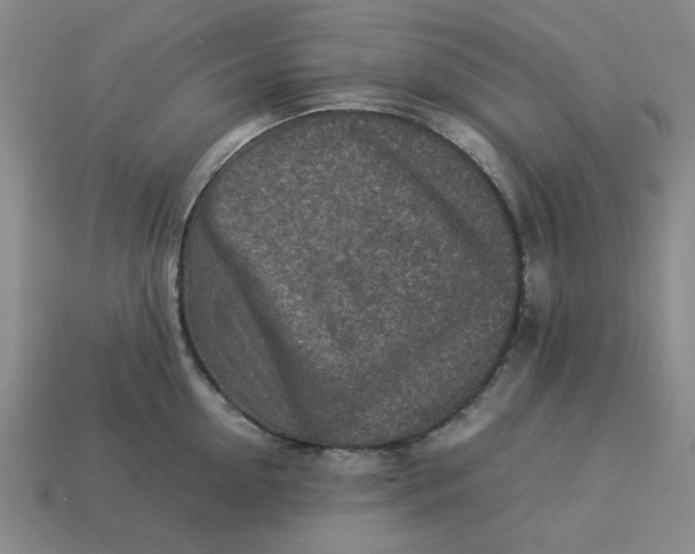 X0000113310954200910051101