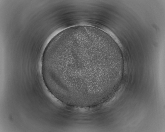 X0000113310955200910051101