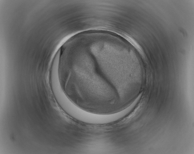 X0000113310956200910051101