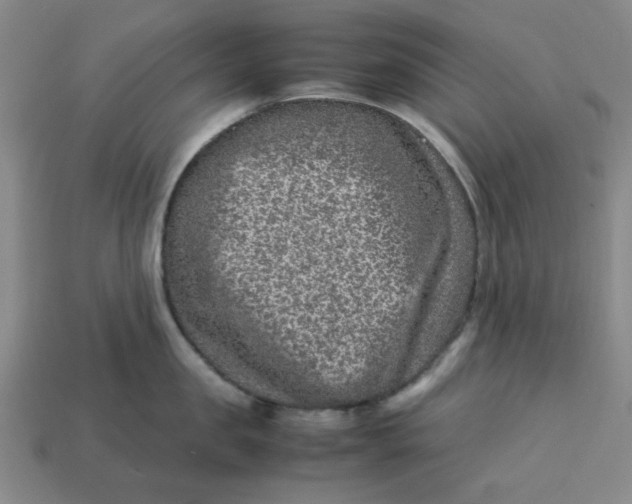 X0000113310957200910051101