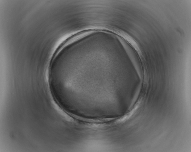 X0000113310958200910051101