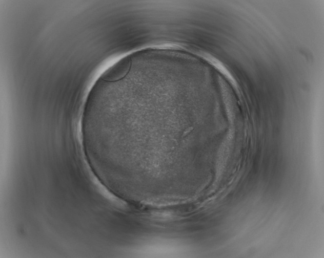 X0000113310959200910051101