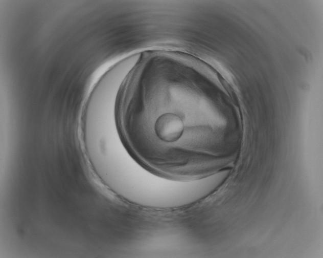 X0000113310960200910051101