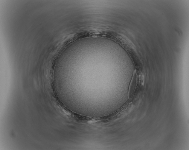 X0000113310961200910051100