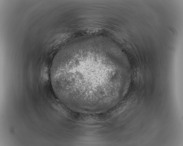 X0000113310962200910051100