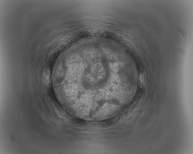 X0000113310963200910051100