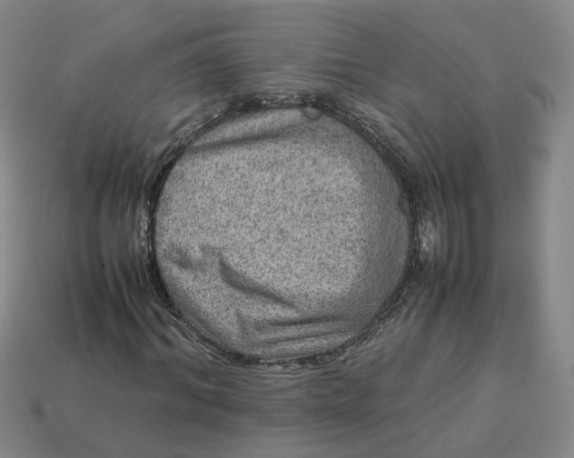 X0000113310964200910051100