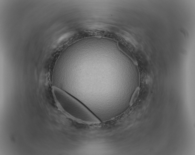 X0000113310965200910051100