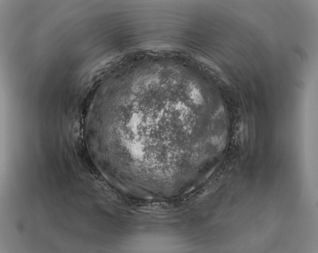 X0000113310966200910051100