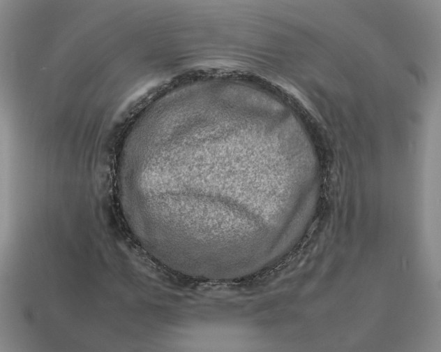 X0000113310967200910051100