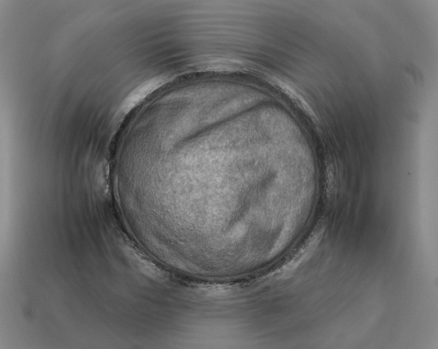 X0000113310970200910051100