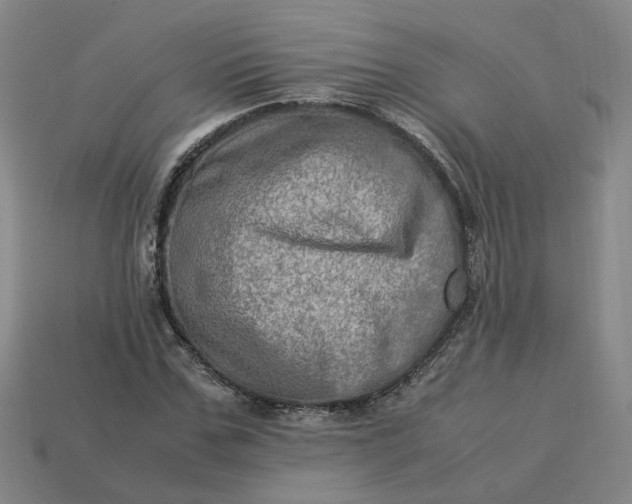 X0000113310971200910051100