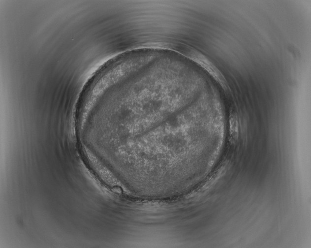 X0000113310972200910051100