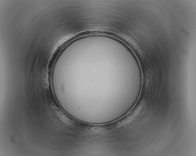 X0000113310974200910051100