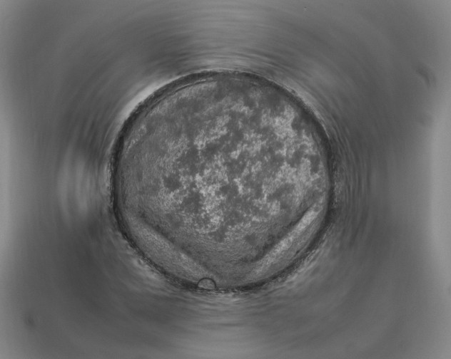 X0000113310975200910051100