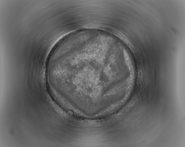 X0000113310976200910051100