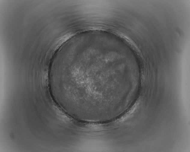 X0000113310977200910051100