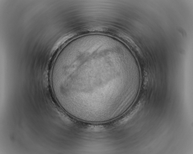 X0000113310978200910051100