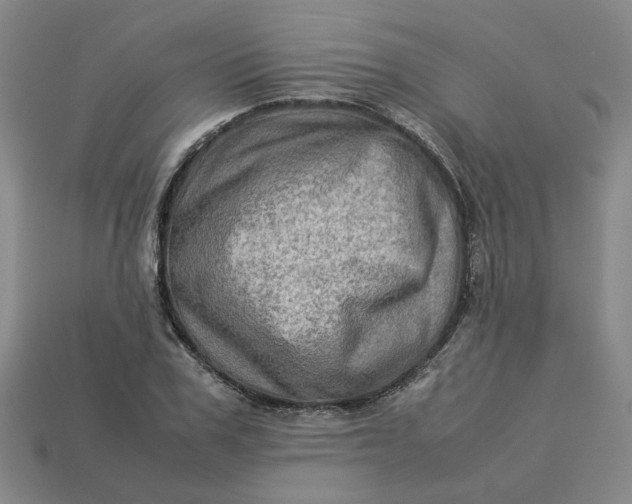 X0000113310979200910051100