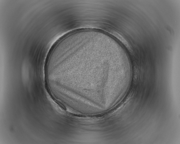 X0000113310980200910051100