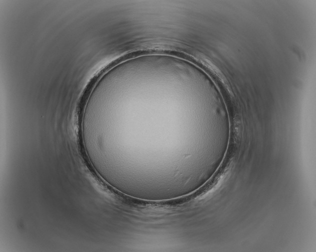 X0000113310981200910051100