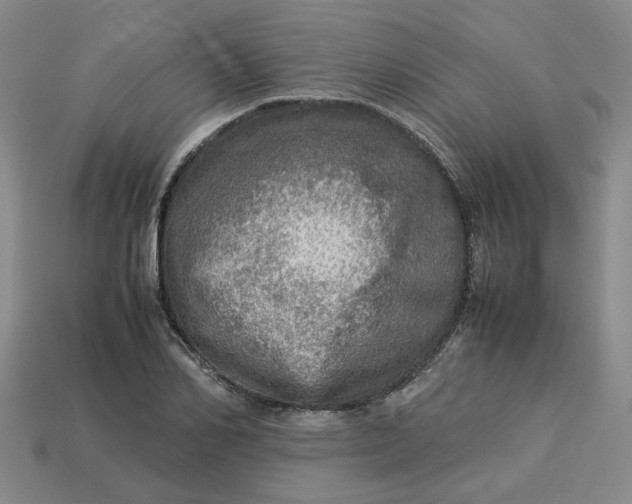 X0000113310982200910051100