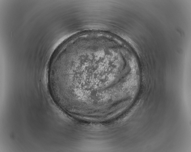 X0000113310983200910051100