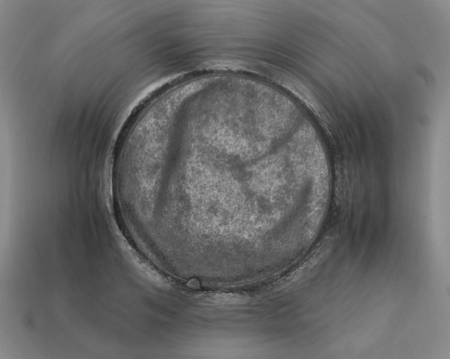 X0000113310984200910051100