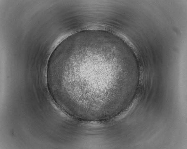 X0000113310986200910051100