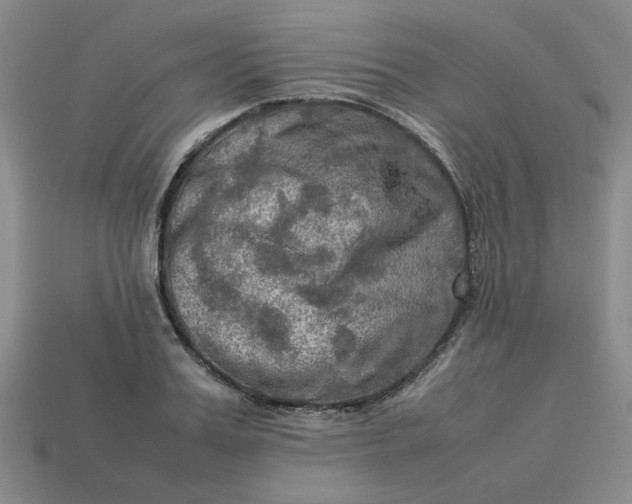 X0000113310987200910051100