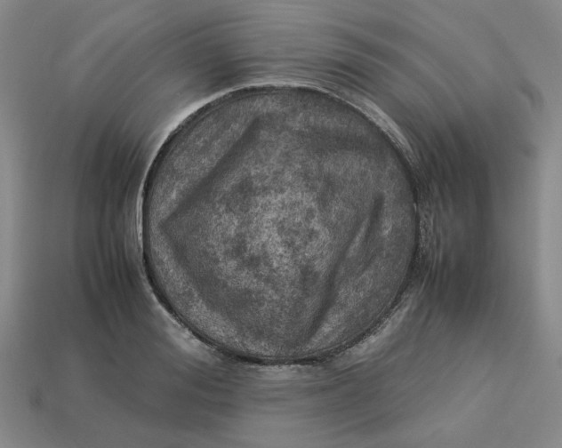 X0000113310988200910051100