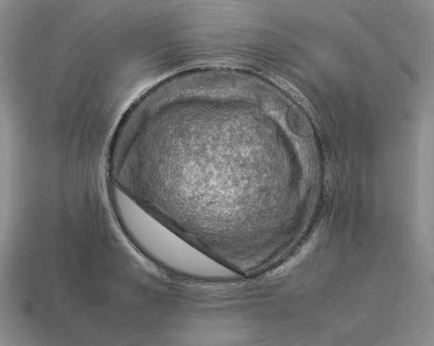 X0000113310989200910051100