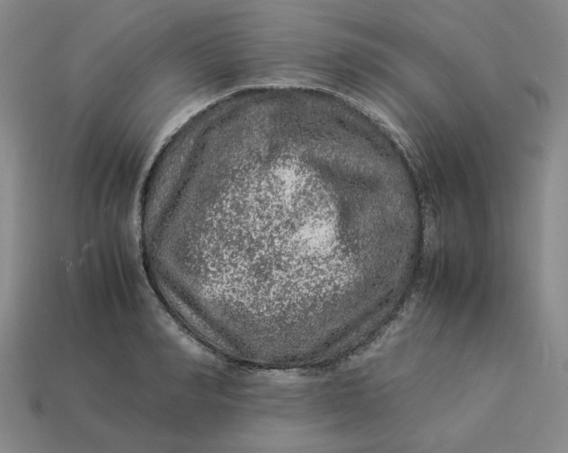 X0000113310990200910051100