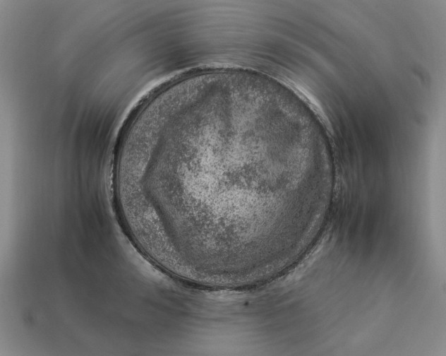 X0000113310992200910051100