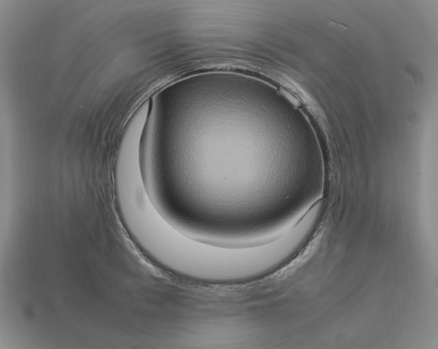 X0000113310993200910051100