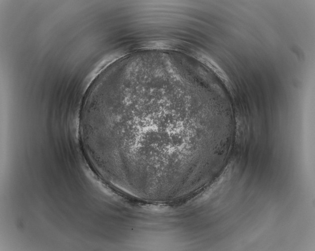 X0000113310994200910051100